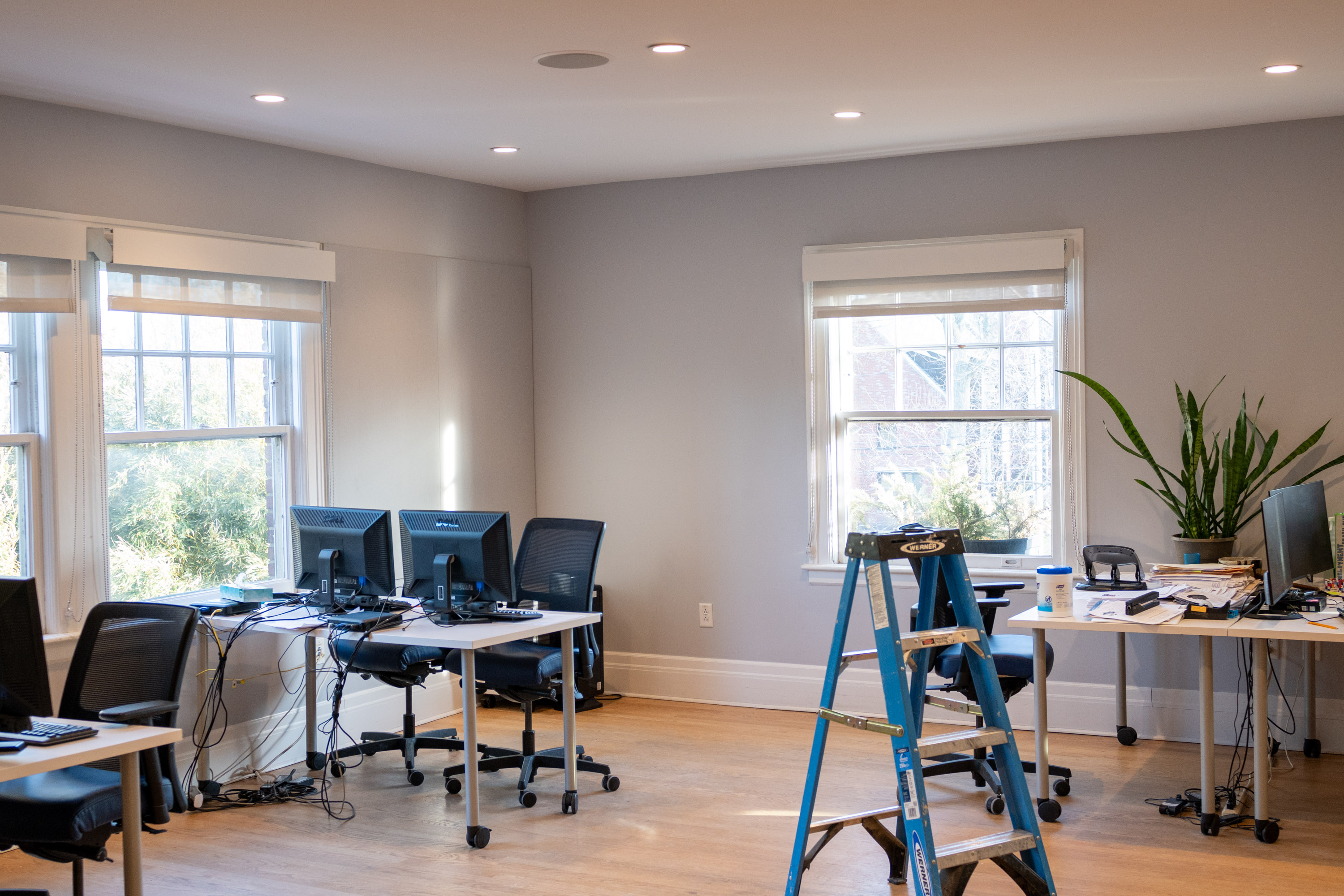 Freshly painted office space