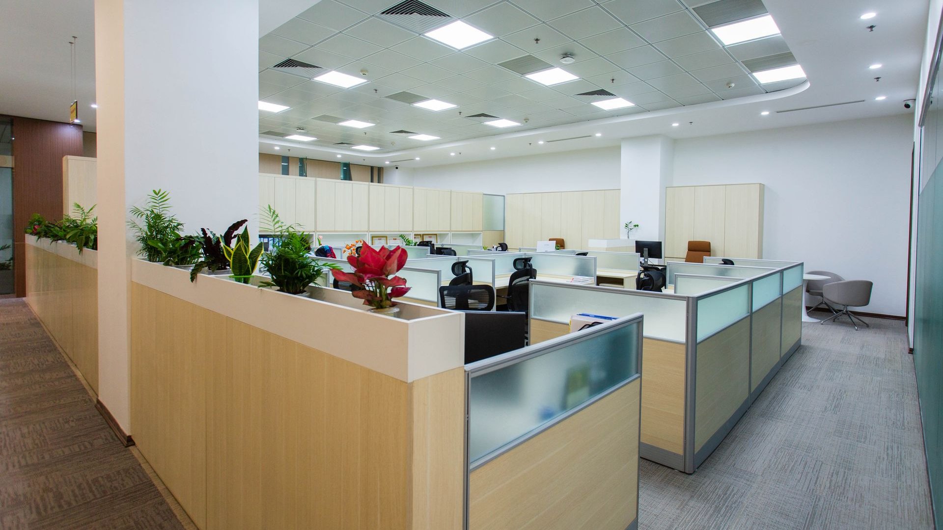 Open Workspaces: clean modern office space